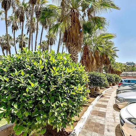 Vina Del Mar Ocean * Playa de las Americas (Tenerife)