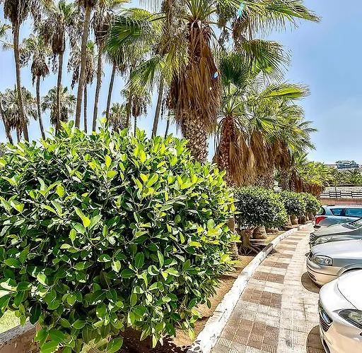 Vina Del Mar Ocean * Плая-де-лас-Америкас